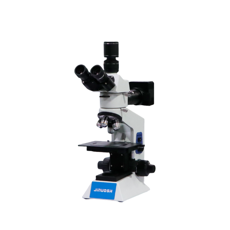 显微镜：解密微观世界的